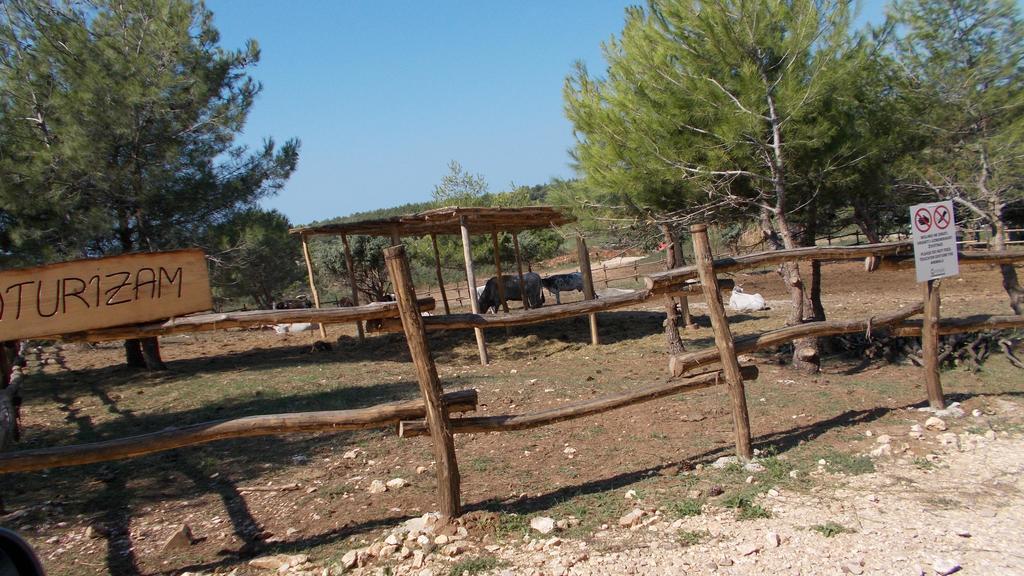Guest House Accommodation Rupine Премантура Екстериор снимка