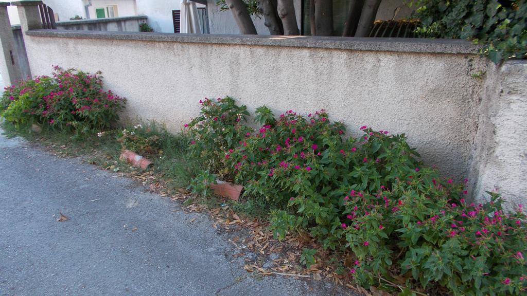 Guest House Accommodation Rupine Премантура Екстериор снимка