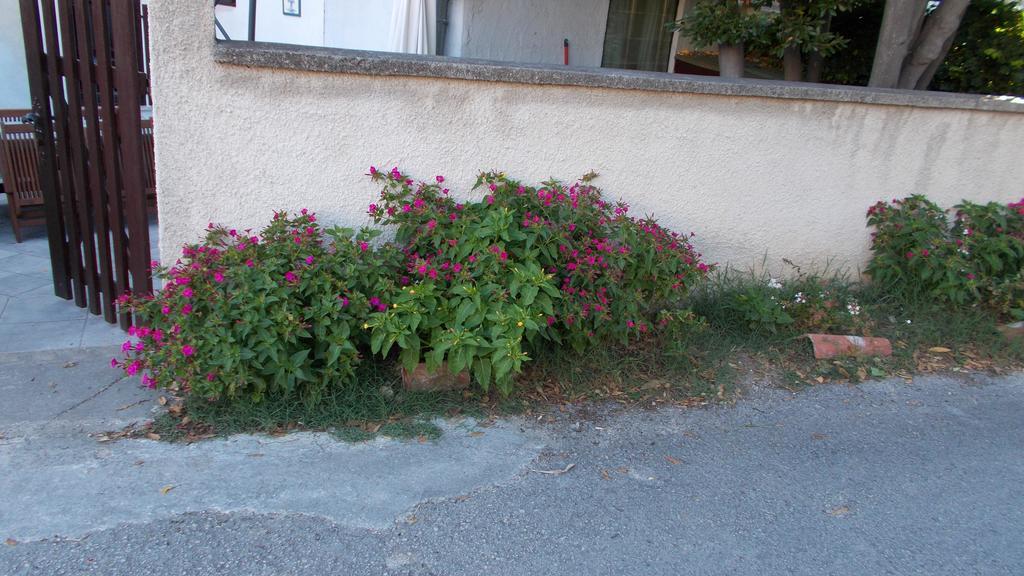 Guest House Accommodation Rupine Премантура Екстериор снимка